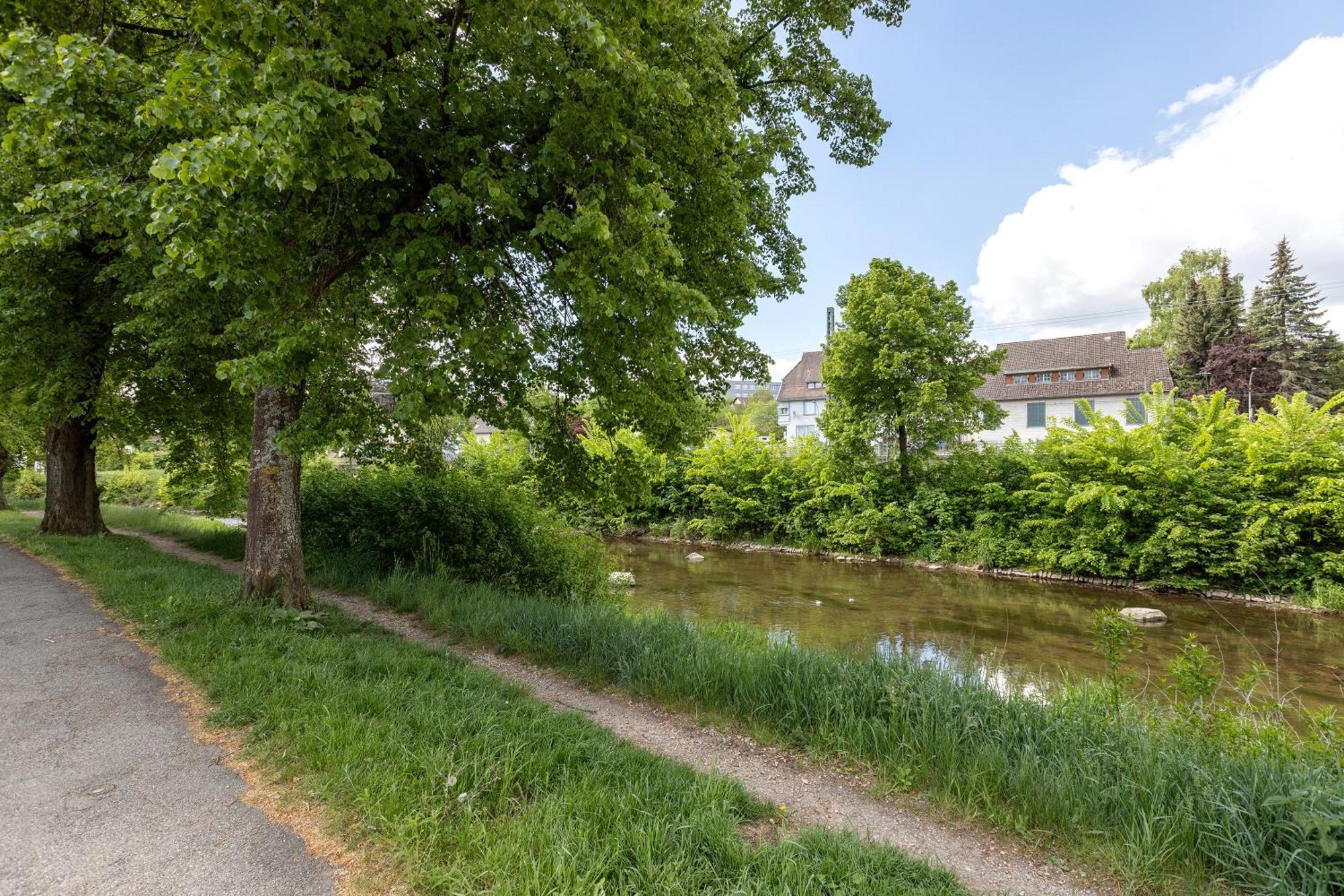 Ferienwohnung An Der Brigach Donaueschingen Exterior photo